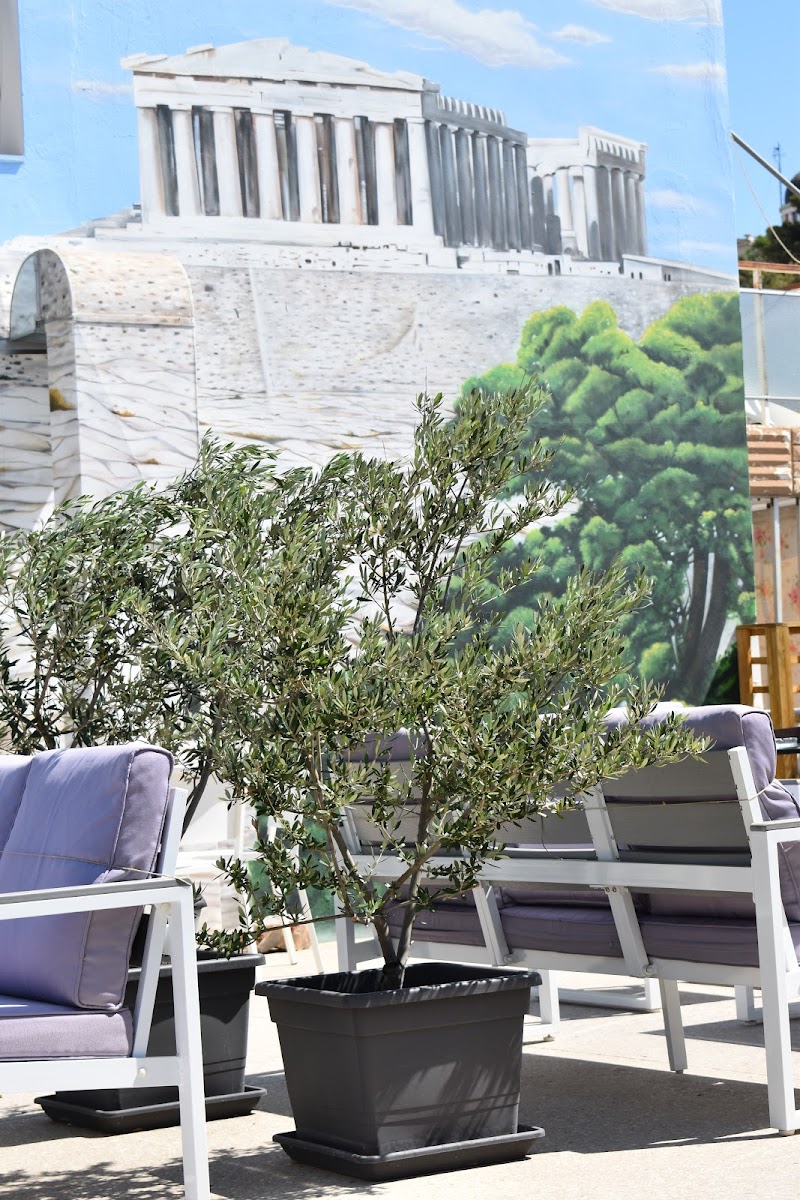 ACROPOLIS VISION