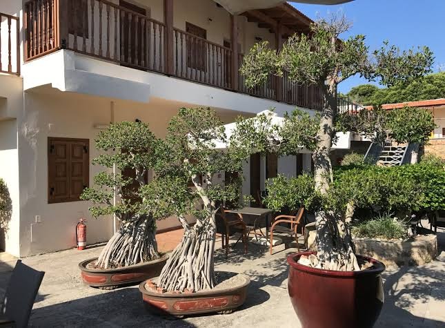 Apollo Guest House