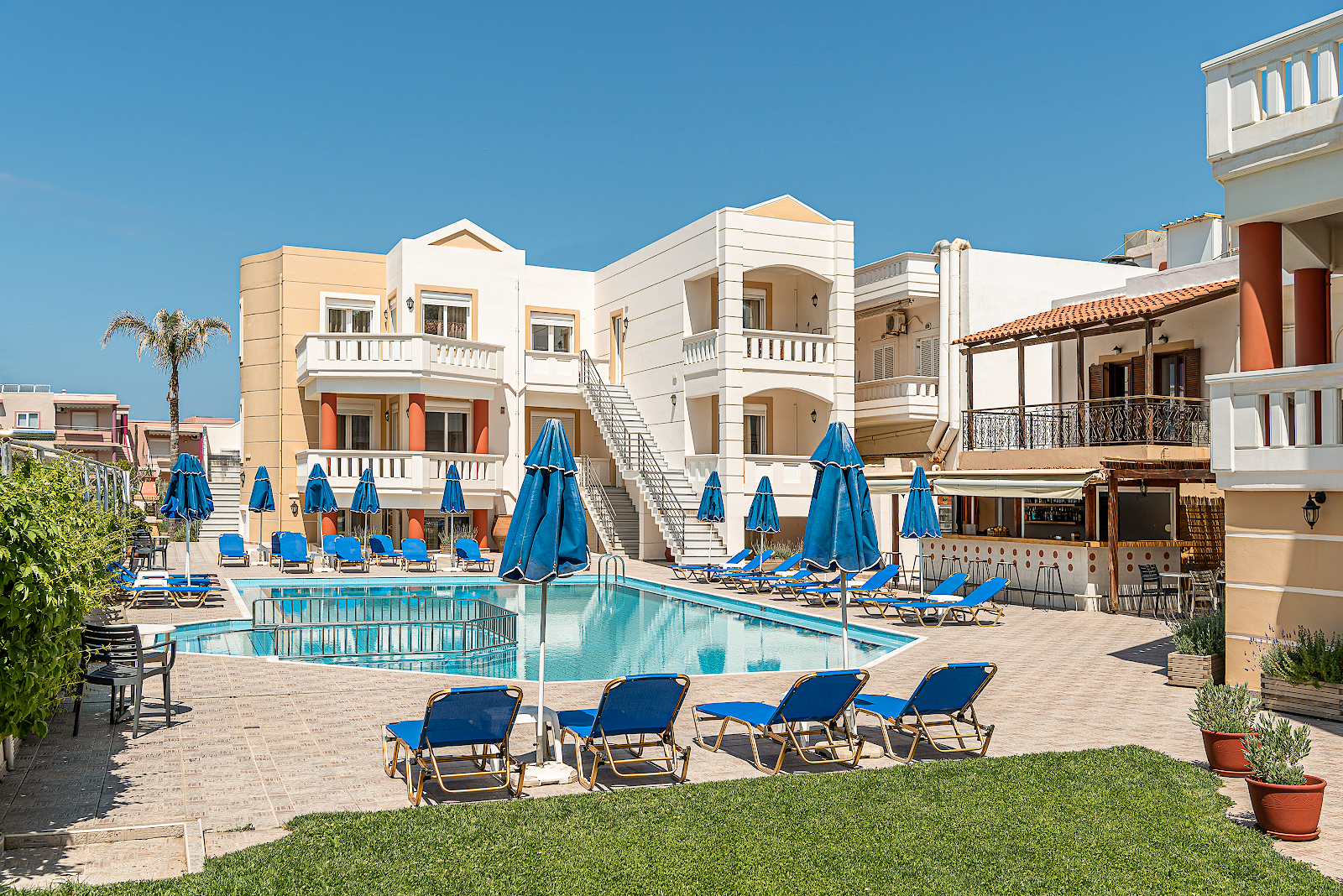 Creta Palm