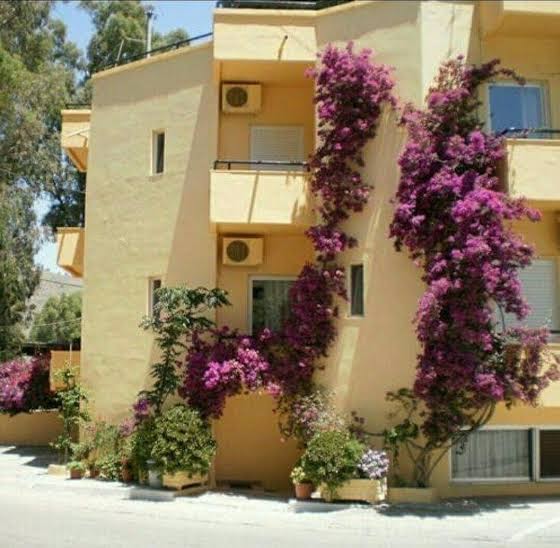 Hotel Athena